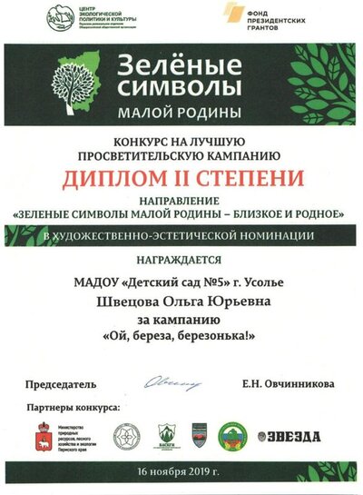диплом  2   степени.jpg