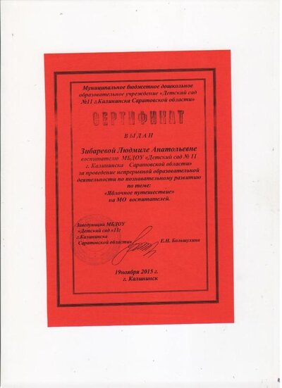 Сканы 011.jpg