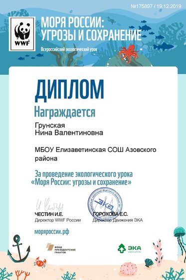 searussia_diplom.pdf.jpeg