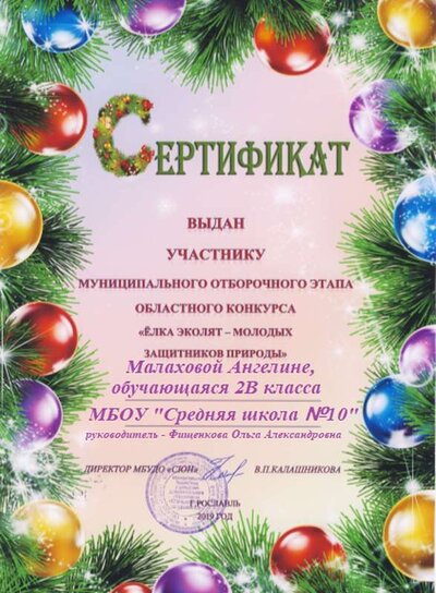 Безымянный — копия — копия.png