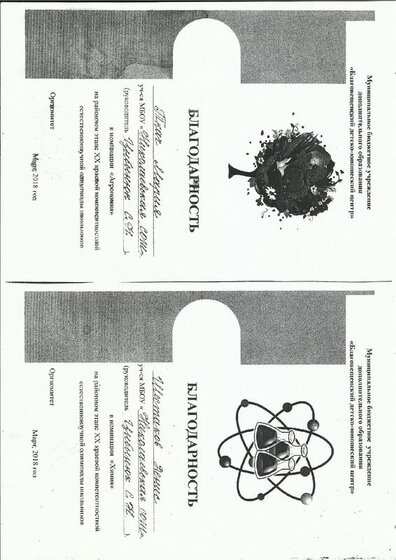 Благодарности.pdf.jpeg
