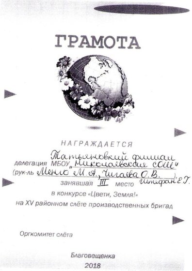 img009.jpg