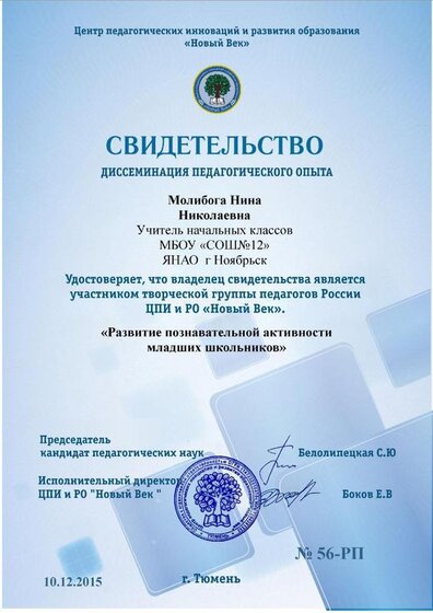 новый век опыт.jpg