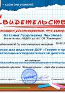 Свидетельство Квест-игра для педагогов ДОУ «Теория и практика познавательно-исследовательской деятельности».png