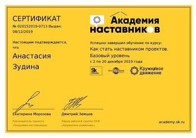 certificate-Академия наставников2.pdf.jpeg