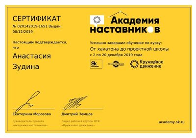 certificate2-Академия-наставников.pdf.jpeg