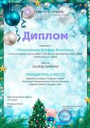 окруж конк.jpg