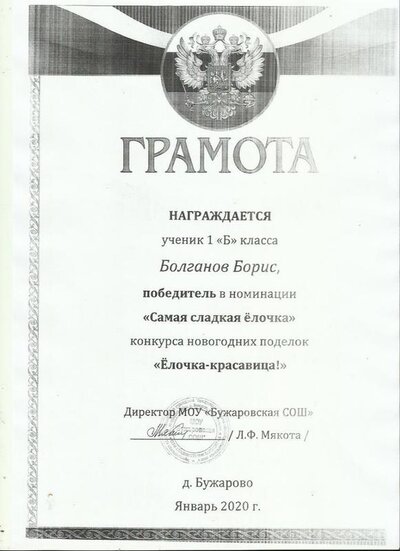 Болганов Борис.jpg