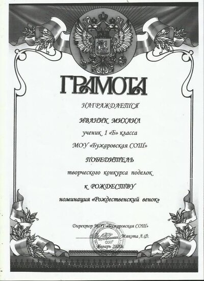 Иваник М победитель.jpg