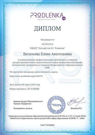2.Диплом за инновационную профессиональную деятельность.pdf.jpeg