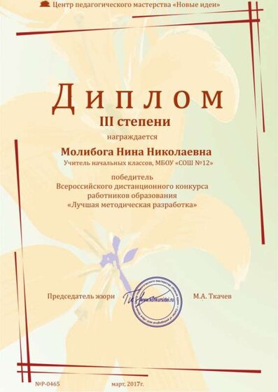 диплом Новые идеи.jpg
