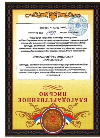 грамота Куренковой А.В.2013.jpg
