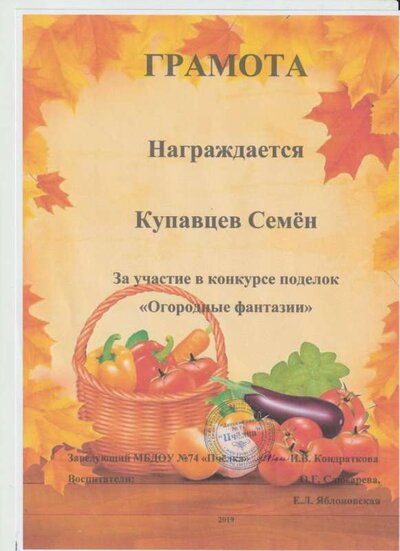 огородные фантазии2 001.jpg