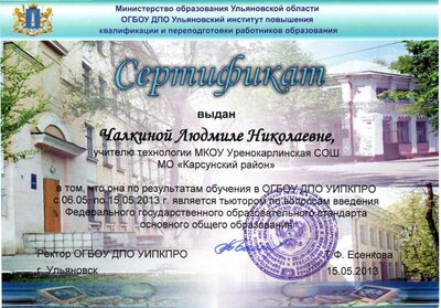 тьютер.jpg