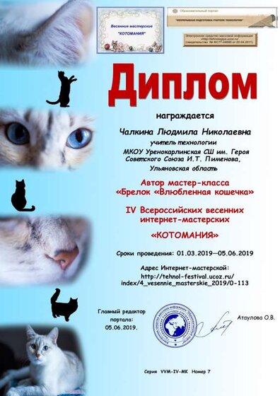 Чалкина автор.pdf.jpeg