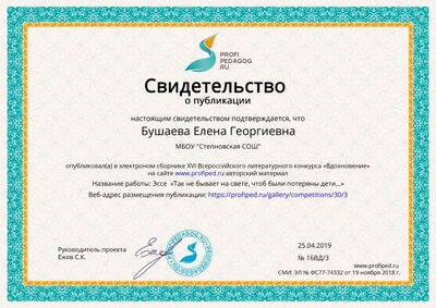 Свидетельство о публикации.jpg