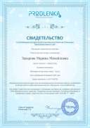 свидетельство о публикации 2.pdf.jpeg
