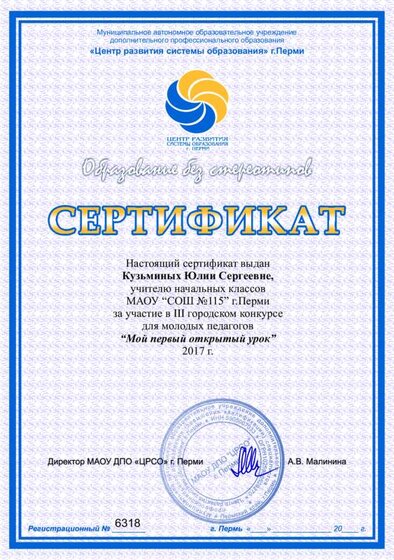 6318 школа 115 Кузьминых Ю.С..pdf.jpeg