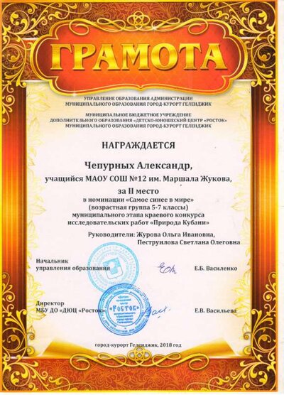 ЧепурныхА.jpg