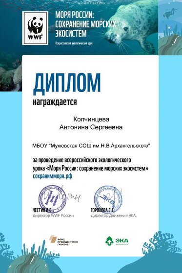 diplom-morya-rossii-save.pdf.jpeg