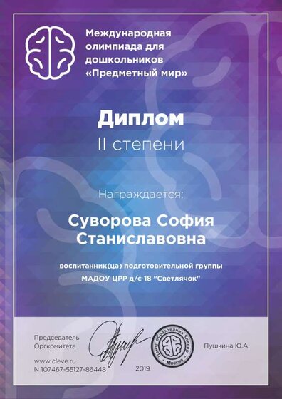 дипломСофи.pdf.jpeg