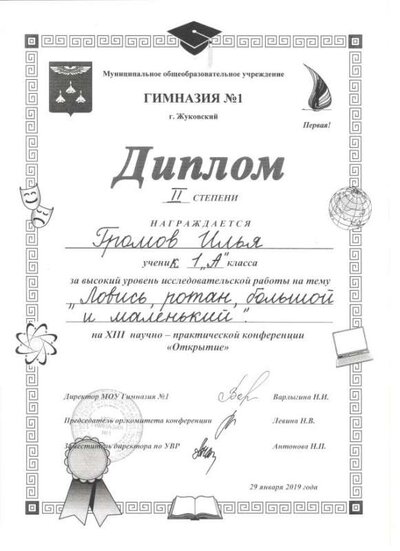 Скан_20190531 (20).png