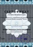 !!!Март  Сертификат Шапа Зинаида Александровна - Серия 041912 № 209541.pdf.jpeg