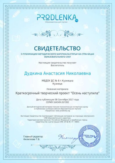 публик проект осень дипл.pdf.jpeg
