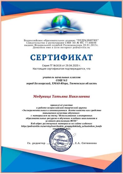 сертификат о работе в творческой группе.jpeg