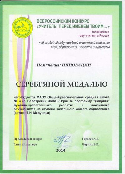 серебряная медаль.jpg