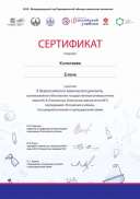 Certificate.jpg
