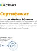Сертификат Skysmart.pdf.jpeg