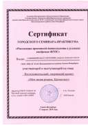 сем4 001.jpg