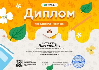 Диплом 1 степени.png