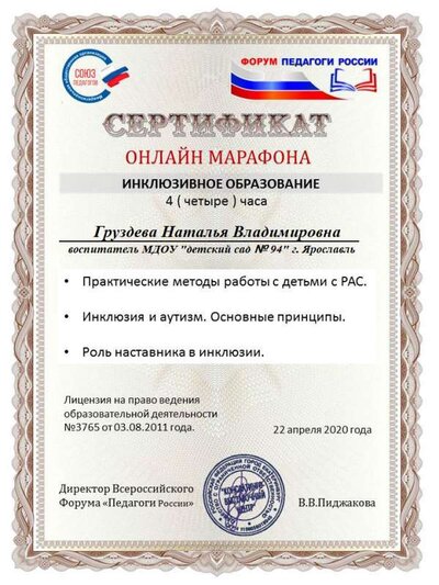 инклюзия.png