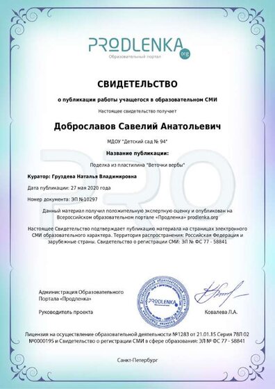 свидетельство САВЫ 2.pdf.jpeg