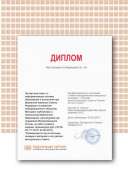 диплом конституция 25 лет в пути.pdf.jpeg