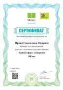 Прямой эфир с экспертами Я Класс.pdf.jpeg