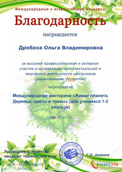 цветы.png