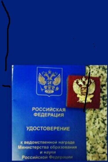 1586436333331.jpg