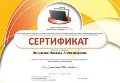 сертификатнетфолио - копия - копия.png