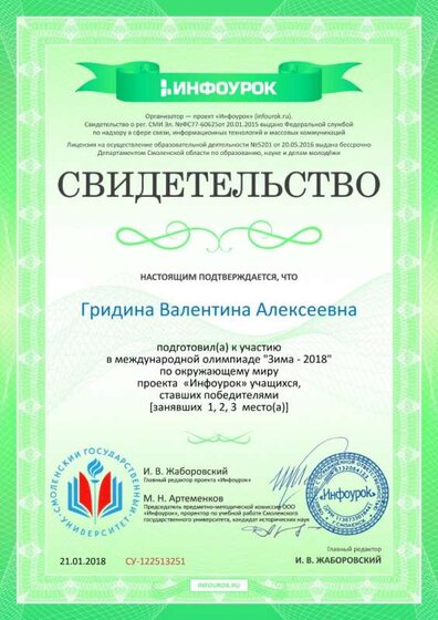 Свидетельство проекта infourok.ru №122513251.jpg