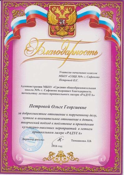 благодарность начальнику школьного лагеря 2016.jpg