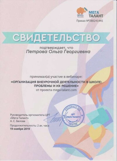 свидетельство участника вебинара 2019.jpg