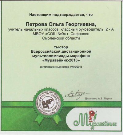 сертификат тьютера Муравейник 2016.jpg