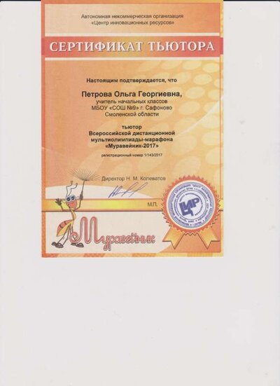 сертификат тьютера Муравейник 2017.jpg