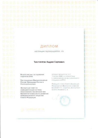 Диплом Всероссийское тестирование педагогов 2018.pdf.jpeg