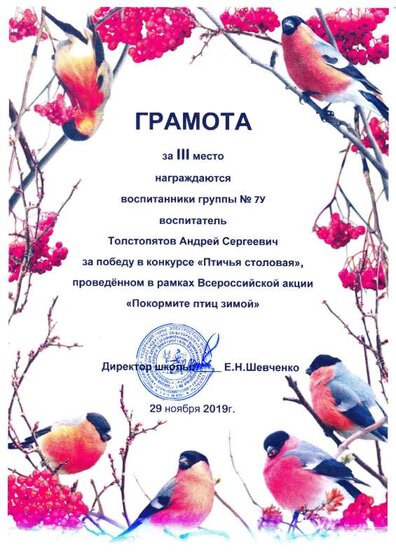 Грамота КТД Птичья столовая 2019.pdf.jpeg