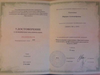 image-2020-07-24 08_40_23 СКИРО.jpg