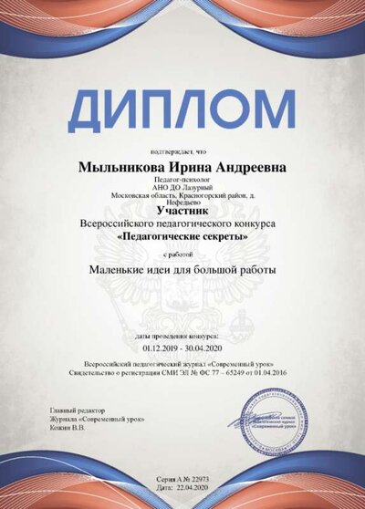 6. УЧАСТНИК МАЛЕНЬКИЕ ИДЕИ.png